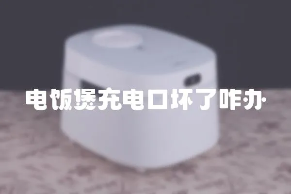 電飯煲充電口壞了咋辦