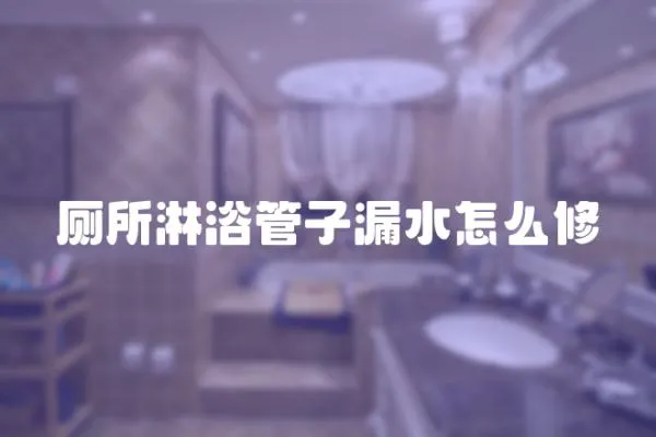 廁所淋浴管子漏水怎么修