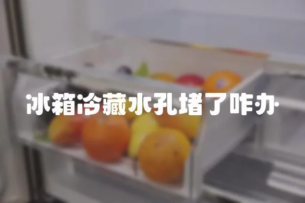 冰箱冷藏水孔堵了咋辦