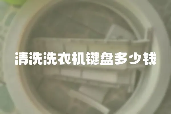 清洗洗衣機鍵盤多少錢
