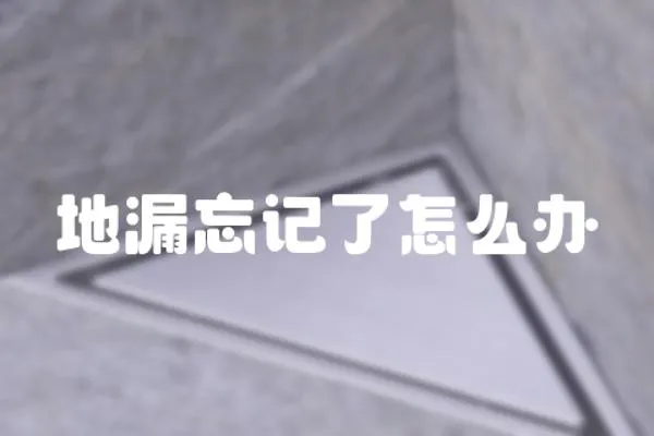 地漏忘記了怎么辦