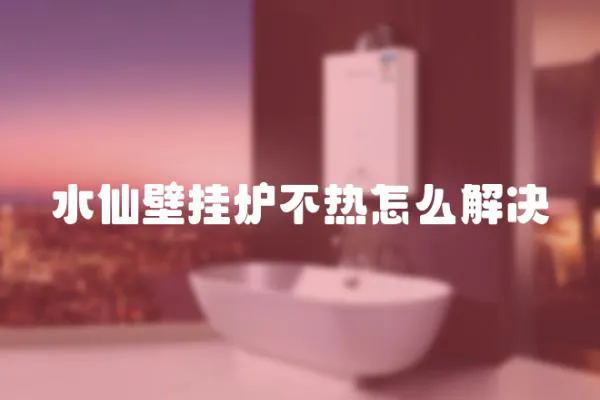 水仙壁掛爐不熱怎么解決