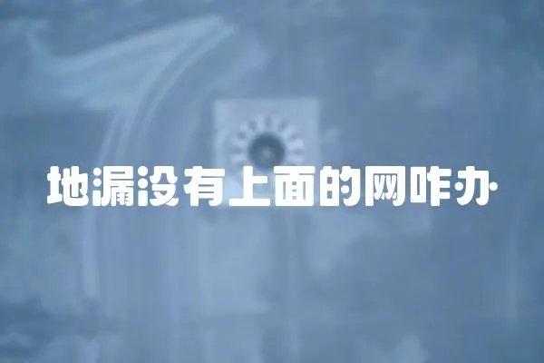 地漏沒(méi)有上面的網(wǎng)咋辦