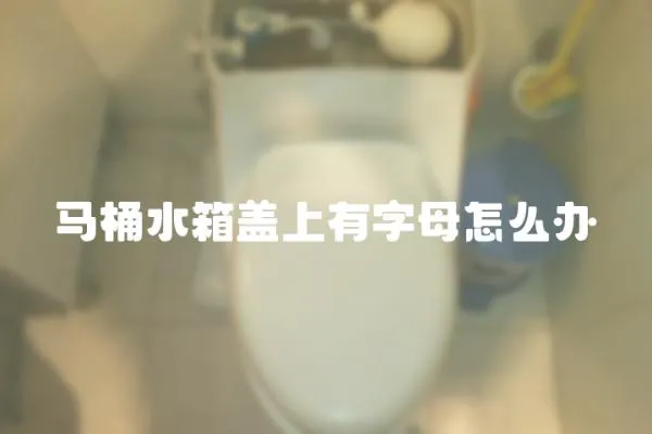 馬桶水箱蓋上有字母怎么辦