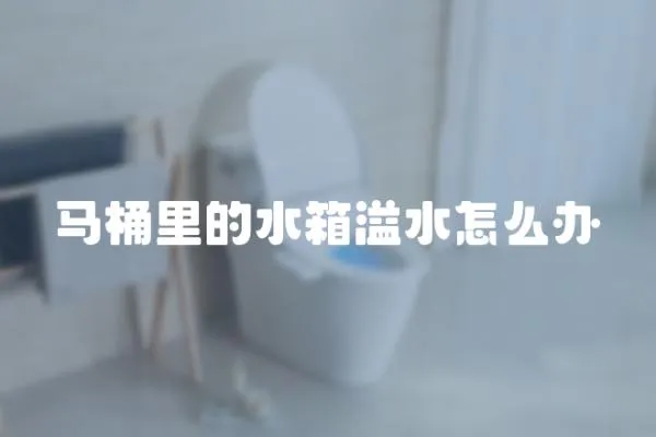 馬桶里的水箱溢水怎么辦