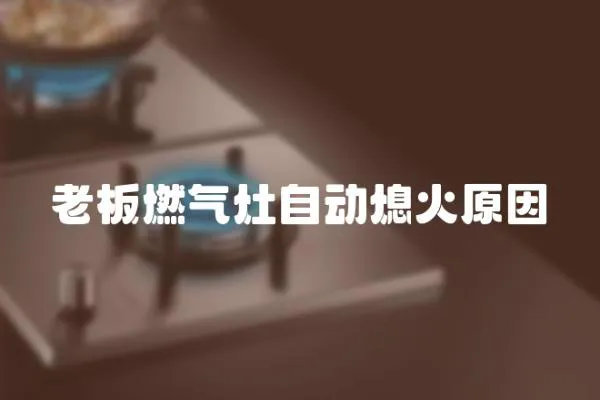 老板燃?xì)庠钭詣?dòng)熄火原因