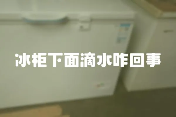 冰柜下面滴水咋回事