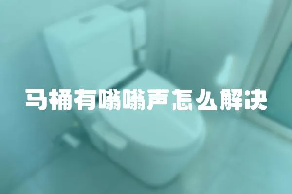馬桶有嗡嗡聲怎么解決