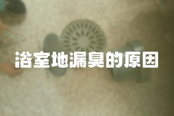 浴室地漏臭的原因