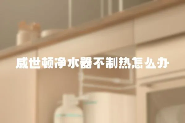 威世頓凈水器不制熱怎么辦