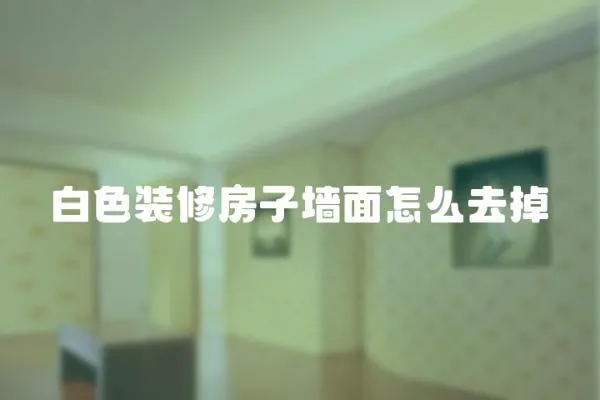 白色裝修房子墻面怎么去掉