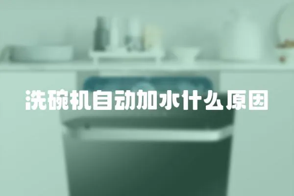 洗碗機自動加水什么原因